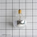 Standard 25W G16 Incandescent 120V Candelabra E12 Base Clear Silver Bowl Globe Bulb (25G16/SB/CL/120)
