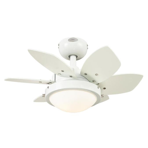 Westinghouse 24 Inch Ceiling Fan White Finish Reversible Blades White/Beech Opal Frosted Glass (7224700)