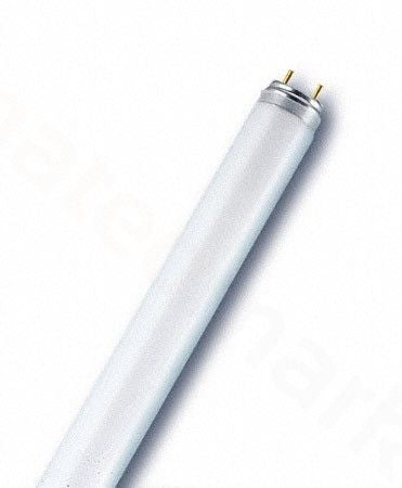 Osram 36W 970mm (38 Inch) European 36W T8 Medium Bi-Pin G13 Base Fluorescent Tube 4000K Cool White 80 CRI (L36W/840-1)