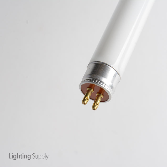 Standard 8W 12 Inch T5 Miniature Bi-Pin Base Blacklight Bulb (F8T5BL)