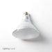 Feit Electric 14W A19 60W Equivalent Cold Start Sub-Zero Temperature Dimmable Omnidirectional 950Lm 3000K Bulb (PAR38/LEDG2/COLD)
