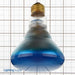 Halco BR30BLU65/5 65W Incandescent BR30 130V Medium E26 Base Dimmable Blue Bulb (404030)