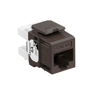 Leviton Extreme CAT6a QuickPort Connector Channel-Rated Brown (6110G-RB6)