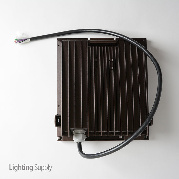 Performance In Lighting Guell 1 SYM LED Floodlight (070219-IR)