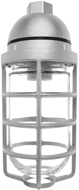RAB Vaporproof 100 Pendant 1/2 Inch With Glass Globe Cast Guard (VP100DG)