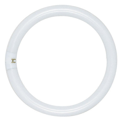 SATCO/NUVO 32W T9 Circline Fluorescent 4100K Cool White 62 CRI 4-Pin Base Shatterproof (S6503-TF)