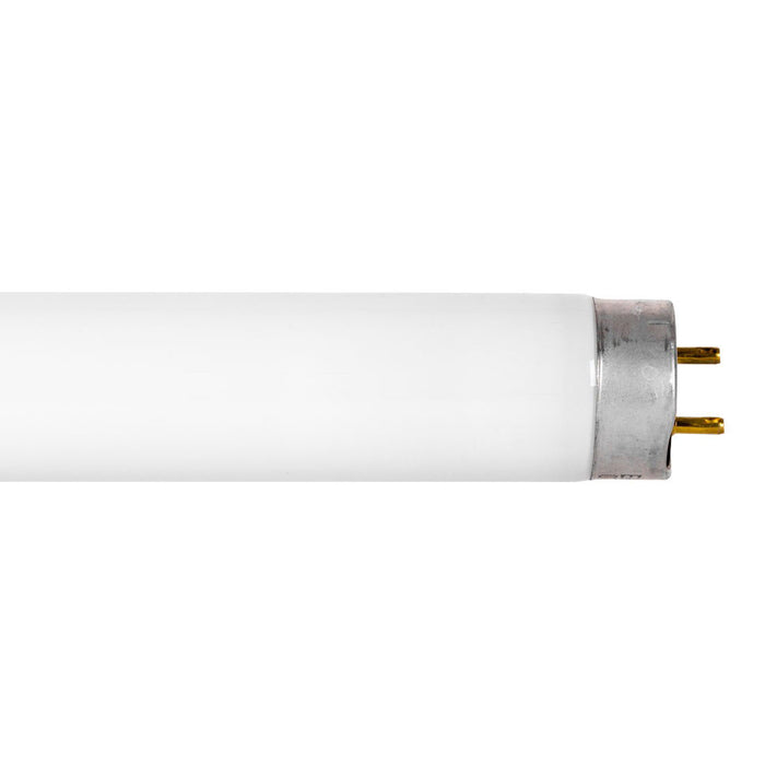 Sylvania 32W 48 Inch T8 Linear Fluorescent 5000K Medium Bi-Pin G13 Base Shatter Resistant Tube (FO32/850/SRC)