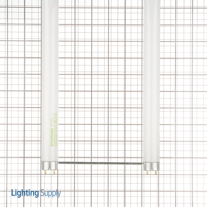 Sylvania FBO32/830/6/ECO 32W T8 22.5 Inch U-Bend Fluorescent 3000K Warm White 82 CRI Medium Bi-Pin Base (21663)
