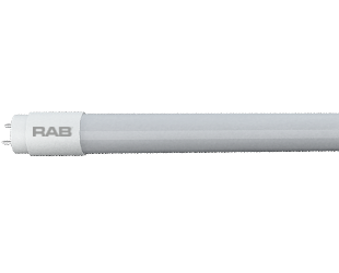 RAB 4 Foot T8 9.5W 32W Equivalent 1750Lm 5000K Type A Glass (T8-9.5-48G-850-DIR)