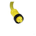 Remke Mini-Link Plug Assembly PVC Female 90 Degree 3-Pole 12 Foot 16 AWG Non-Metallic Coupler (103C0120APN)