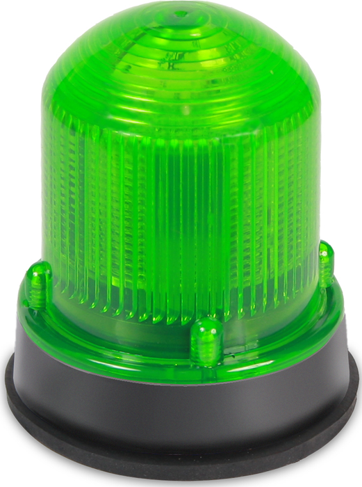 Edwards Signaling 125 Class Steady-On LED Beacon In A NEMA Type 4X Enclosure Panel Or Conduit Mounting Protective Wire Guard Available (125LEDSG24DB)
