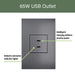 Pass and Seymour Adorne 65W USB Outlet Module Type C Magnesium (ARUSB65PDM4)