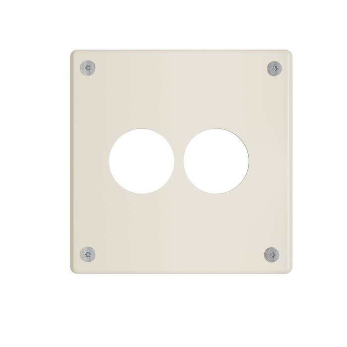 Pass and Seymour Mighty Mac WSP Series Security Wall Plate Round Receptacle Opening 2-Gang 10-Gauge Steel Ivory Allen Head Fasteners (WSPA2N912IVYPS)
