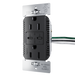 Pass and Seymour Radiant 65W Power Delivery USB Outlet Tamper-Resistant Duplex 15A Black (R26USBPD65BK)