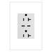 Pass and Seymour Adorne 65W USB Outlet Plus-Size Type C 20A Tamper-Resistant White (ARTRUSB20PD65W4)