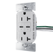 Pass and Seymour 65W Power Delivery USB Outlet Type C Tamper-Resistant Duplex 20A Gray (TR20USBPD65GRY)
