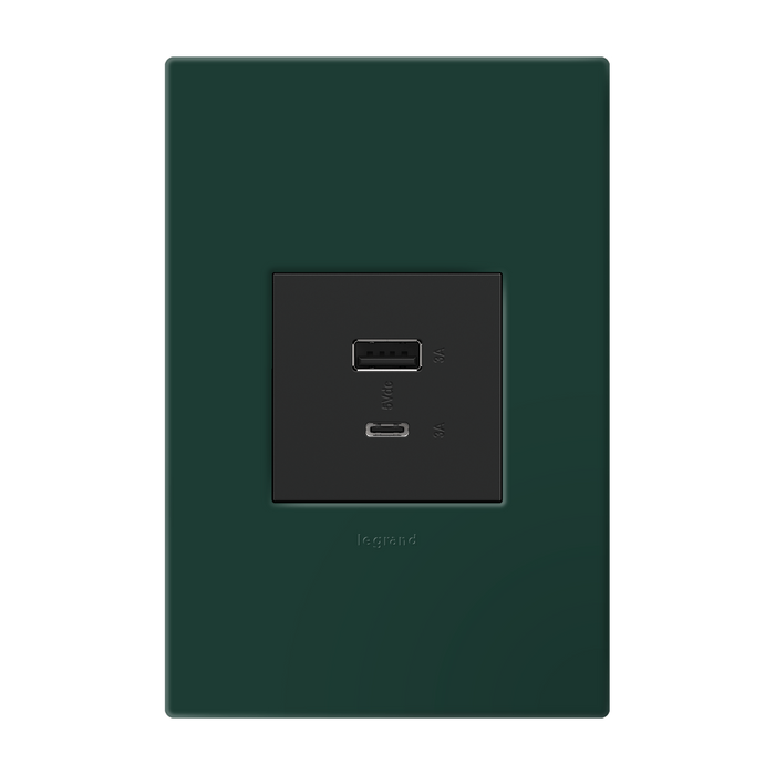 Pass and Seymour Adorne Wall Plate Painted Plastic 1G2 Evergreen (AWP1G2EG)