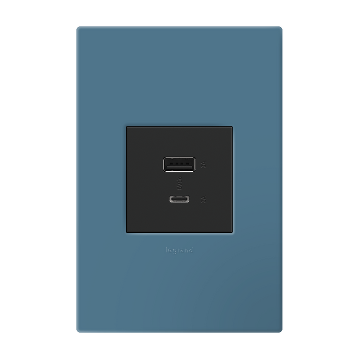 Pass and Seymour Adorne Wall Plate Painted Plastic 1G2 Mystic (AWP1G2MY)