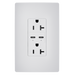 Pass and Seymour 65W Power Delivery USB Outlet Type C Tamper-Resistant Duplex 20A White (TR20USBPD65W)