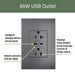 Pass and Seymour Adorne 65W USB Outlet Plus-Size Type C 20A Tamper-Resistant Magnesium (ARTRUSB20PD65M4)