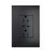 Pass and Seymour Adorne 65W USB Outlet Plus-Size Type C 15A Tamper-Resistant Graphite (ARTRUSB15PD65G4)