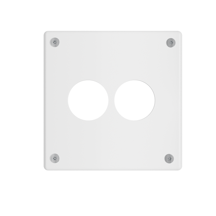 Pass and Seymour Mighty Mac WPP Series Security Wall Plate Round Receptacle Opening 2-Gang 10-Gauge Steel White Torx T-20 Head Fasteners (WPPA2N911PS)