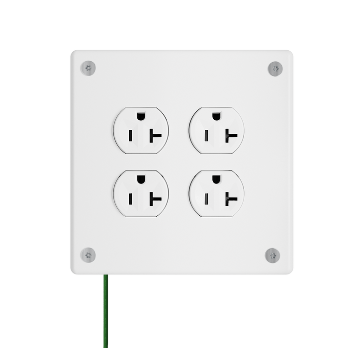 Pass and Seymour Mighty Mac WPP Series Security Wall Plate Duplex Opening 2-Gang 14-Gauge Stainless Steel White Torx T-20 Head Fasteners (WPP32D1PS)