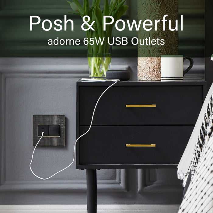 Pass and Seymour Adorne 65W USB Outlet Module Type C Graphite (ARUSB65PDG4)