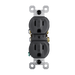Pass and Seymour Trademaster 15A 125V Duplex Receptacle Tamper-Resistant External Pressure Plated Weather-Resistant Black (3232TREXWRBK)