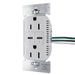 Pass and Seymour Radiant 65W Power Delivery USB Outlet Tamper-Resistant Duplex 15A Gray (R26USBPD65GRY)