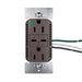 Pass and Seymour 65W Hospital Grade USB Outlet Type C 15A Tamper-Resistant Brown (TR15HUSBPD65)