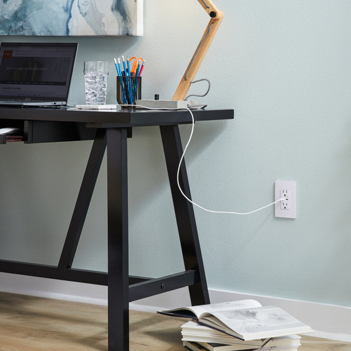 Pass and Seymour Radiant 65W Power Delivery USB Outlet Tamper-Resistant Duplex 15A White (R26USBPD65W)