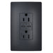 Pass and Seymour Radiant 65W USB Outlet Type C 15A Tamper-Resistant Graphite (R26USBPD65GCC6)
