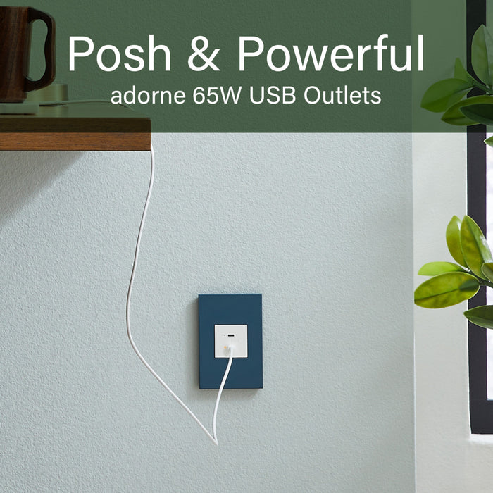 Pass and Seymour Adorne 65W USB Outlet Module Type C White (ARUSB65PDW4)