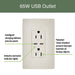 Pass and Seymour Radiant 65W Power Delivery USB Outlet Tamper-Resistant Duplex 15A Light Almond (R26USBPD65LA)