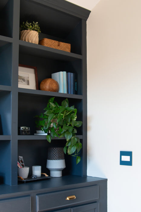 Pass and Seymour Adorne Screwless Wall Plate Painted Plastic 2-Gang Mystic (AWP2GMY)