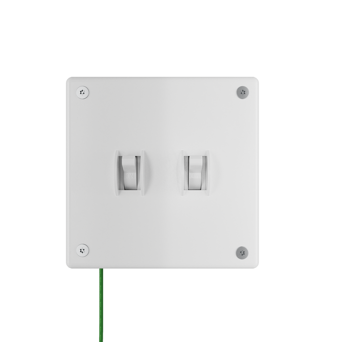 Pass and Seymour Mighty Mac WSP Series Security Wall Plate Switch/Toggle 2-Gang 14-Gauge Stainless Steel White Allen Head Fasteners (WSP32S2PS)