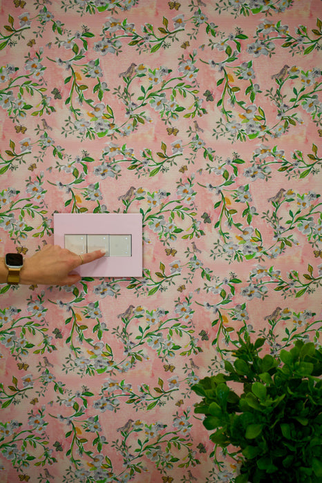 Pass and Seymour Adorne Screwless Wall Plate Painted Plastic 3-Gang Rosa (AWP3GRA)