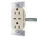Pass and Seymour Radiant 65W Power Delivery USB Outlet Tamper-Resistant Duplex 15A Ivory (R26USBPD65I)
