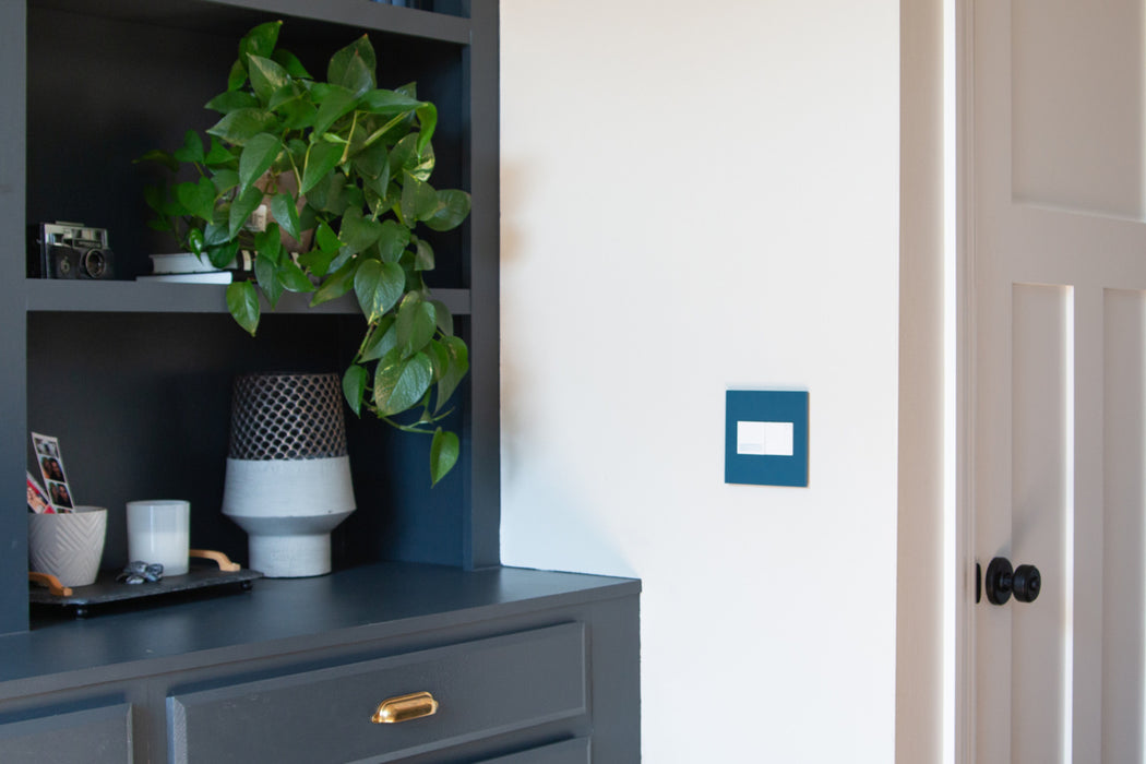 Pass and Seymour Adorne Screwless Wall Plate Painted Plastic 2-Gang Mystic (AWP2GMY)