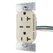 Pass and Seymour 65W Power Delivery USB Outlet Type C Tamper-Resistant Duplex 20A Ivory (TR20USBPD65I)