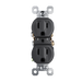 Pass and Seymour Receptacle Tamper-Resistant 15A 125V Back Wire CCA Black (3232TREXBK)