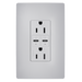 Pass and Seymour Radiant 65W Power Delivery USB Outlet Tamper-Resistant Duplex 15A Gray (R26USBPD65GRY)