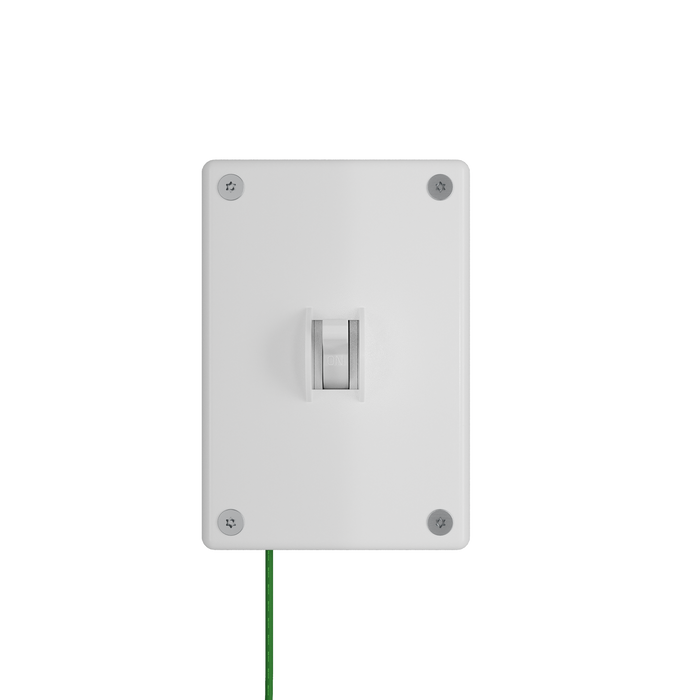 Pass and Seymour Mighty Mac WSP Series Security Wall Plate Switch/Toggle 1-Gang 14-Gauge Stainless Steel White Torx T-20 Head Fasteners (WSP31S1PS)