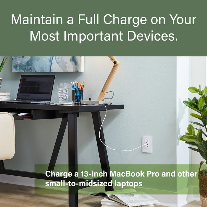 Pass and Seymour Radiant 65W USB Outlet Type C 15A Tamper-Resistant Graphite (R26USBPD65GCC6)