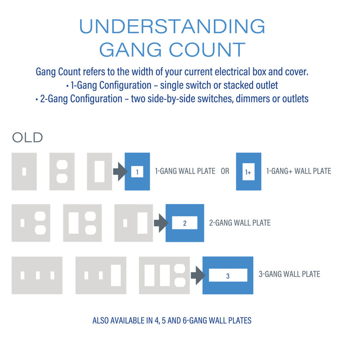Pass and Seymour Adorne Screwless Wall Plate Painted Plastic 2-Gang Mystic (AWP2GMY)