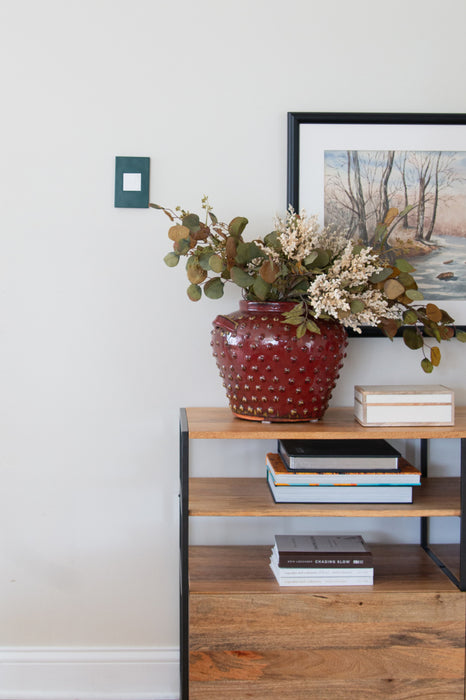 Pass and Seymour Adorne Wall Plate Painted Plastic 1G2 Evergreen (AWP1G2EG)