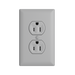 Pass and Seymour Powerhold Duplex Receptacle 15A/125V Gray (TR15DVSGRY)