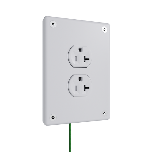 Pass and Seymour Mighty Mac WPP Series Security Wall Plate Duplex Opening 1-Gang 10-Gauge Steel White Allen Head Fasteners (WPPA1D2PS)