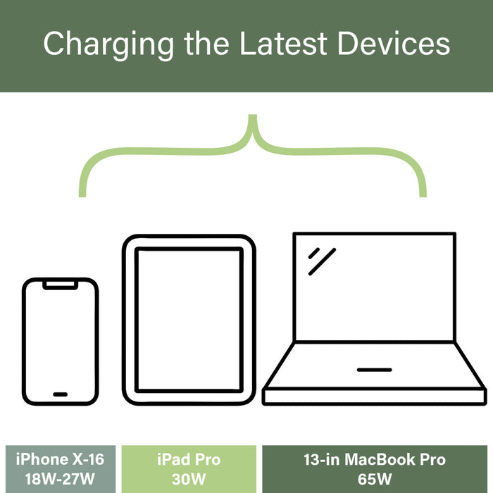 Pass and Seymour Radiant 65W USB Outlet Type C 15A Tamper-Resistant Graphite (R26USBPD65GCC6)
